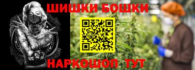мдпв Рыбинск