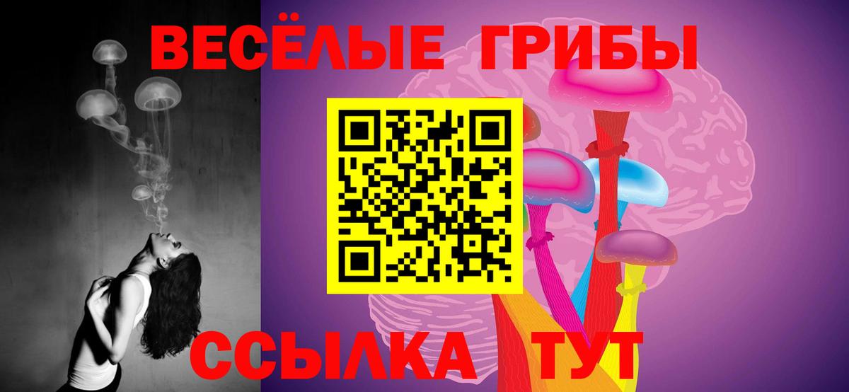 Псилоцибиновые грибы мицелий  Вход с VPN  Рославль 